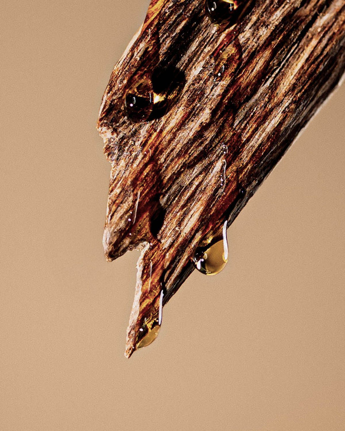 AGARWOOD. An Ancient and Rare Wood - Why We Built a Scent Around It.