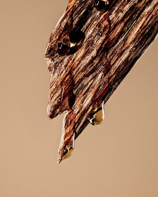 AGARWOOD. An Ancient and Rare Wood - Why We Built a Scent Around It.